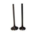 CUB 100 SİBOP TAKIM OEM