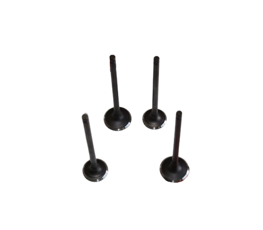 RKS 200 SİBOP TAKIM