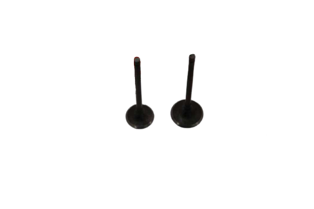 HONDA WAVE 110 İ ENJEKSİYONLU SÜBAP TK DQ