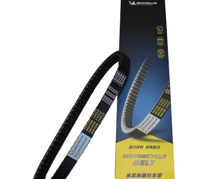 LH 200 MICHELIN KAYIŞ