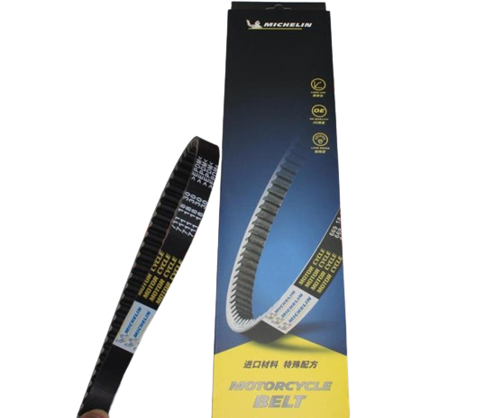 CYGNUS L MICHELIN KAYIŞ CYGNUS L