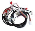CG 125 ASYA KUBA ELEKTRİK TESİSATI (5 FİŞLİ)
