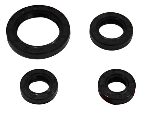 MONDIAL DRİFT-DRİFT L 125-MR VULTURE 150 KEÇE SETİ ORJINAL