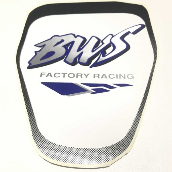 BWS 100 ARMA GİDON MAVİ
