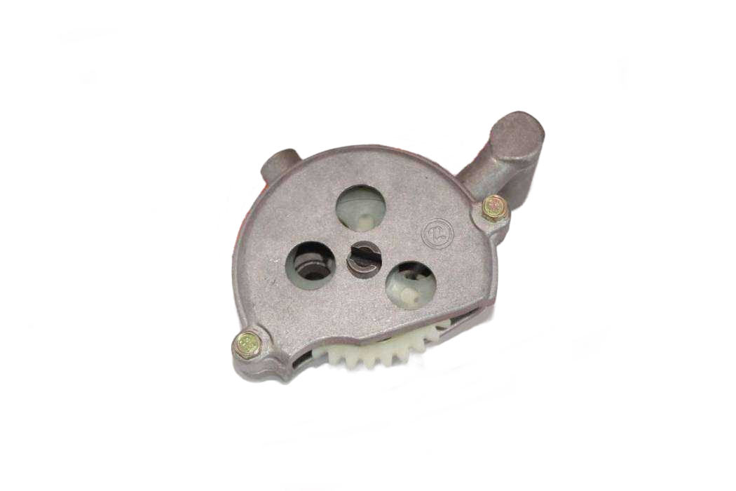 REGAL RAPTOR DD250E / MR DESTRO 250 YAĞ POMPA