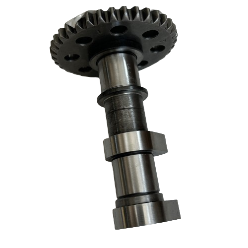 DOMİNAR 250 EKSANTRİK İÇ ORJİNAL