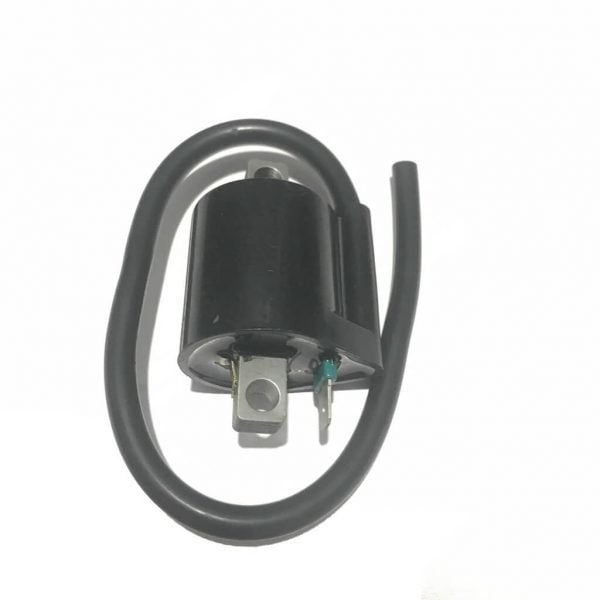 BWS 100 BOBİN ATEŞLEME