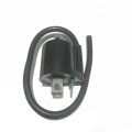 BWS 100 BOBİN ATEŞLEME