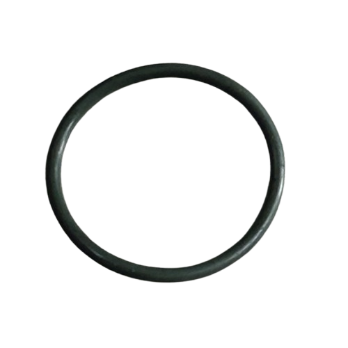 Tvs Raider 125 Manifold Oringi Orjinal