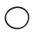 Tvs Raider 125 Manifold Oringi Orjinal