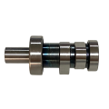 PULSAR NS 200 - RS 200 EKSANTRİK MİLİ ORJİNAL tek yiv