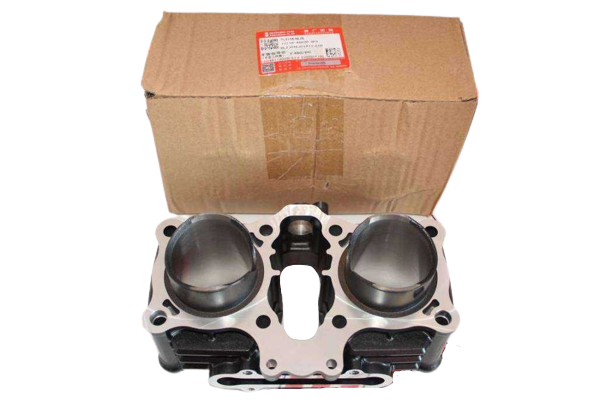 SUZUKI GSXR 250/GW İNAZUMA/V-STROM 250 SİLİNDİR