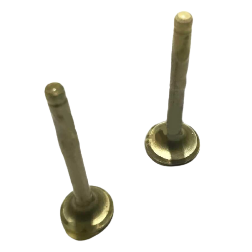 CYGNUS L SİBOP TAKIM