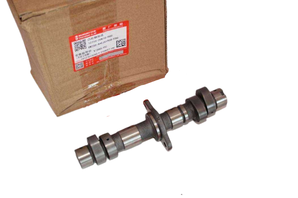 SUZUKI GSXR 250/GW İNAZUMA/V-STROM 250 EKSANTRİK