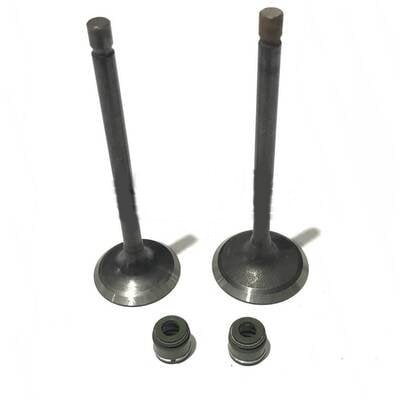 Tvs Apache 150 Supap ve Keçesi Takım Orijinal | N9323800