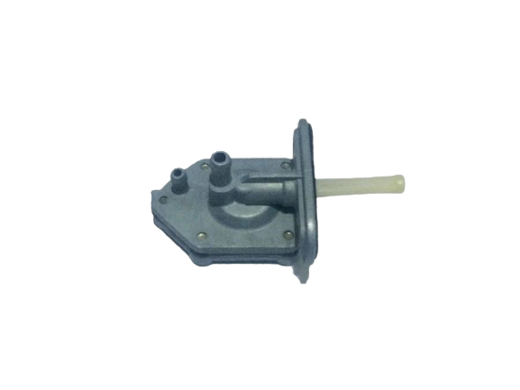 BWS 100 MUSLUK TAİWAN