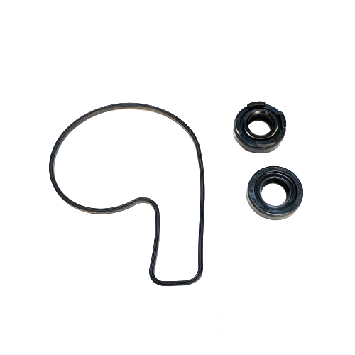 PULSAR NS 200 SU POMPA KEÇESİ TAKIM