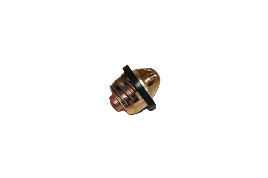 CF 500 THERMOSTAT