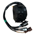 Tvs Raider 125 Sol Kumanda Düğme Paneli Orijinal